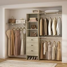 an open closet with clothes and shoes hanging on the shelves, next to a rug