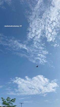 a bird is flying high in the sky above some trees and bushes on a sunny day