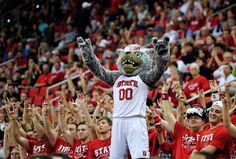 a man in a mascot costume standing on top of a basketball court with his arms up