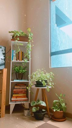 plants and books are sitting on shelves in the corner of a room next to a window