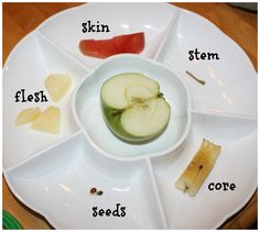 a white plate topped with fruit and veggies