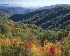 the mountains are covered in autumn foliage and trees with red, yellow, and green leaves