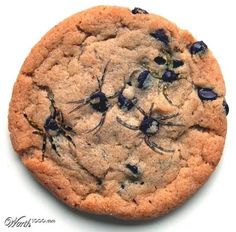 a chocolate chip cookie with black bugs on it and the caption says, spider chip cookies just use a toothpick to draw legs while they are still warm