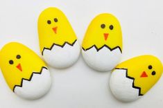 four painted rocks with yellow and white chicks on them, sitting next to each other