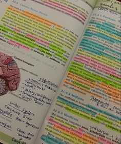 an open book with writing on it and a drawing of a human brain in the middle