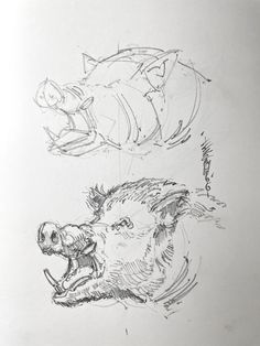 two drawings of dogs with their mouths open