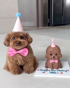 a brown dog wearing a pink bow tie sitting next to a cake with a poodle on it