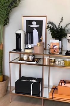 a shelf with various items on it next to a potted plant