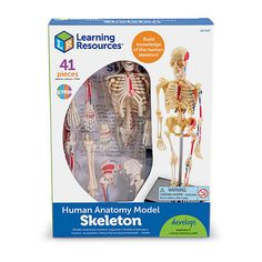 the human anatomy model is shown in its box with instructions on how to use it