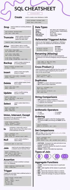 a professional resume template with two different colors and font options on the front, one in purple