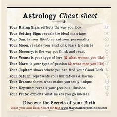 an astrology chart with the zodiac signs