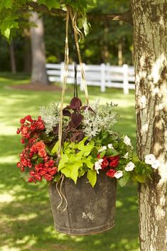 a bucket full of flowers hanging from a tree