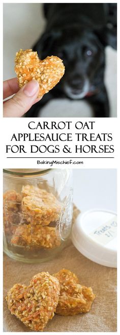 carrot oat appetizer treats for dogs and horses