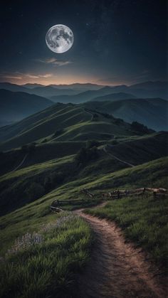 the moon shines brightly over a grassy hill with a path leading up to it