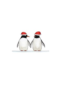 two penguins wearing red hats standing next to each other