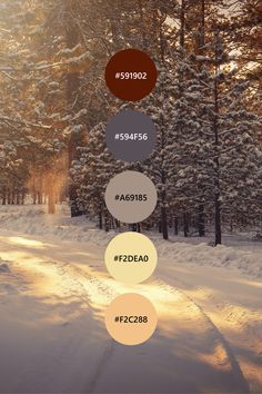 an image of a snow covered road with trees in the background