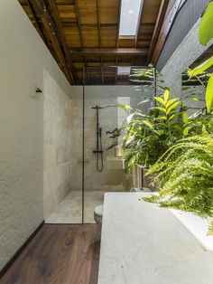 a bathroom with wood flooring and a skylight above the shower area is shown