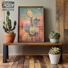 two cactus plants are sitting on a wooden shelf