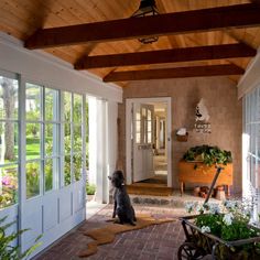 a dog is sitting on the front porch looking out at the yard and patio area