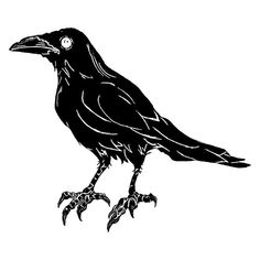 a black and white drawing of a crow sitting on top of it's legs