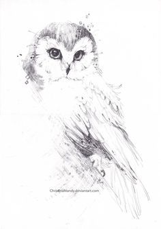 an owl is shown in black and white