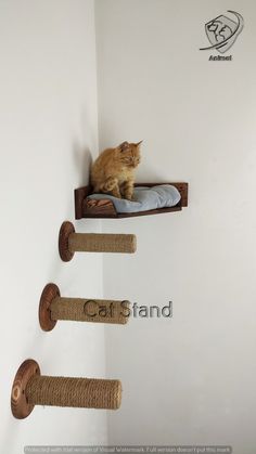 an orange cat sitting on top of a wooden shelf next to two cats scratching pads