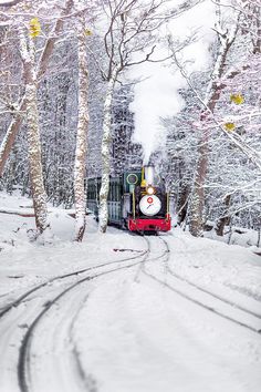 a train traveling through a snow covered forest