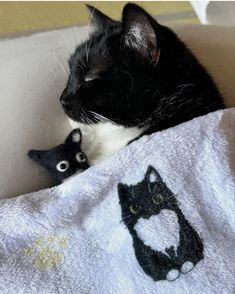 a black and white cat laying on top of a blanket