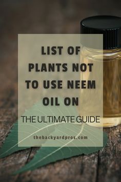 a bottle of oil sitting on top of a wooden table next to a green leaf