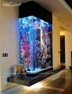 a fish tank in the middle of a room with an aquarium on it's side