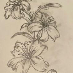 a drawing of some flowers on a piece of paper