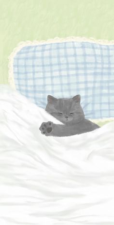 a gray cat laying on top of a bed covered in white sheets