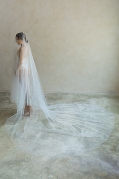 a woman in a wedding dress with a veil on her head