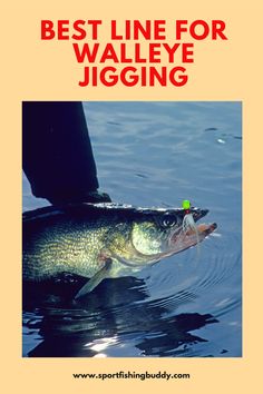 a large fish with the title best line for walleye jigging on it's side