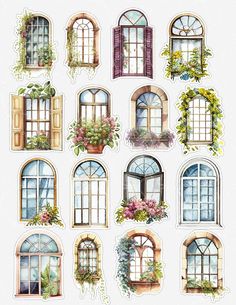 an image of windows with flowers and plants on them in watercolors or ink