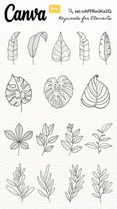 an image of leaves and plants drawn in ink with the words canva on it