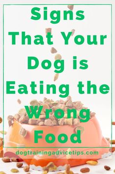 a bowl full of dog food with the words signs that your dog is eating the wrong food