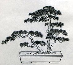 a black and white drawing of a bonsai tree