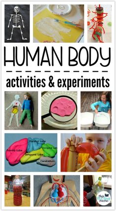 Human Body Homeschool, Experiments For Kids, Body Study