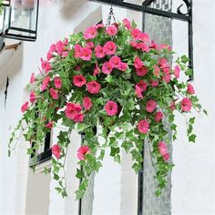 pink flowers hanging from the side of a white building