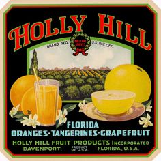 an advertisement for golden holly oranges, tangerines and grapefruit