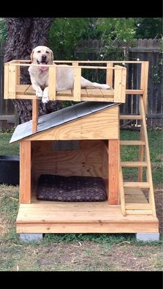 a dog standing on top of a bunk bed in the grass next to a tree