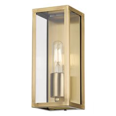 an outdoor wall light with a clear glass and brass finish on the outside of it