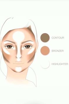 Simple Eye Makeup For Beginners Step By Step Eyeshadow Tutorials, Contour Makeup For Beginners, Makeup Placement Face, Contour Tricks, Easy Contouring, Basic Makeup Tutorial, How To Contour Your Face, Step By Step Makeup