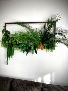 some plants are hanging on the wall above a couch