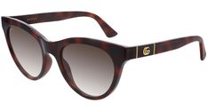 Gucci Logo sunglasses model GG0763S cat eye injection frame color code 002 shiny medium havana with havana temple and gradient brown lens. Logo Sunglasses, Classic Color Palette, Gradient Brown, Sunglasses Logo, Brown Lens, Brown Cat, Gucci Logo, Gucci Eyewear, Top Design Fashion