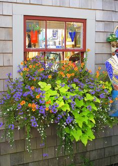 a window box filled with flowers next to a building