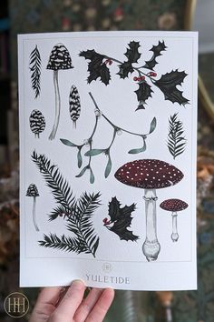 a person holding up a card with different types of mushrooms and leaves on it in front of a mirror