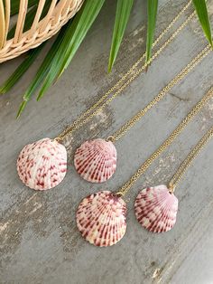 four seashells on a gold chain next to a basket and palm leaf in the background