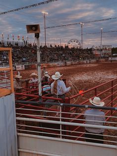 Dear Rodeo, Texas Vibes, Western Aesthetic Wallpaper, Roping Horse, Country Relationships, Country Vibes, Cattle Drive, Western Photography, Barrel Racing Horses